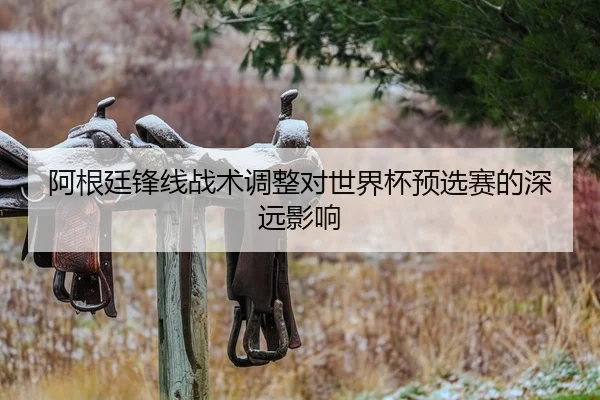 阿根廷锋线战术调整对世界杯预选赛的深远影响
